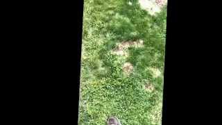 Craigslist scammers in Spokane wa cda Idaho fake money scam
