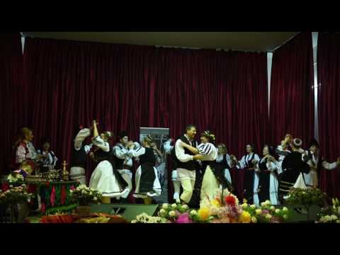 Adriana Șolea- Hai, bade, ia-mă la joc