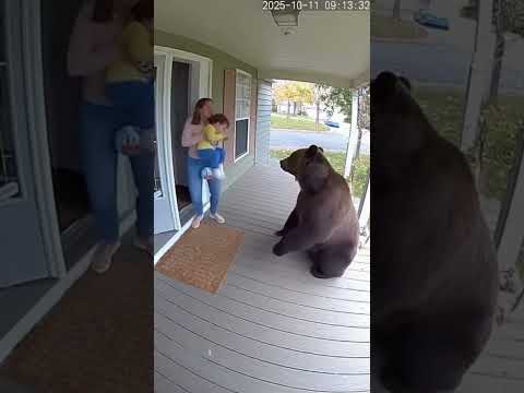 Bear eat snacks from kid and attack kid's mother 😱😱🐻 #attack #bearattack #animal