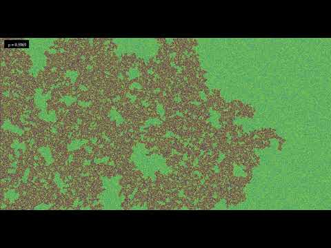 Percolation, on the occasion of Hugo Duminil-Copin's Fields Medal