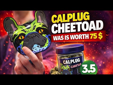 Cali Plug Cheetoad Review 🔥 Is It REALLY Worth $75 for a 3.5