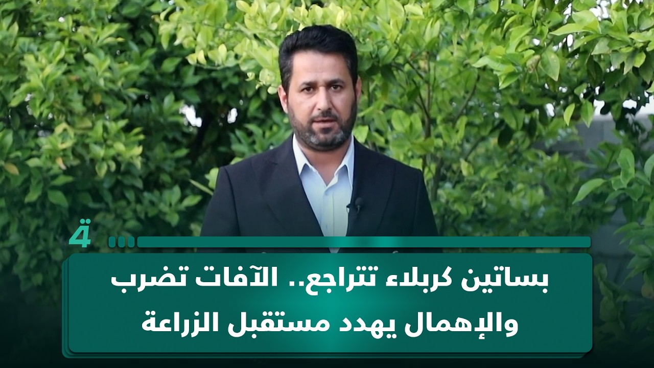 فيديو | بساتين كربلاء تتراجع.. الآفات تضرب والإهمال يهدد مستقبل الزراعة