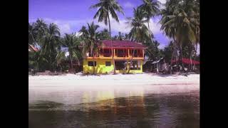 Christina Aguilera - Telepathy (Remix)