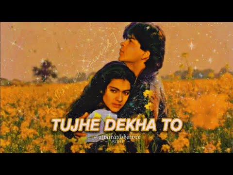 tujhe dekha to (slowed + reverb) lata mangeshkar & kumar sanu | LoFi