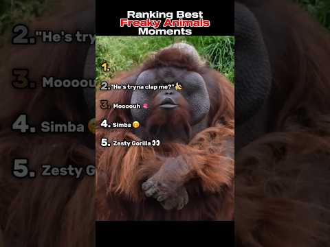 Freaky Ahh Animals😛 #animals #funny #freaky #shorts #viralshorts