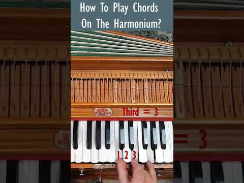 How to play any chord on the Harmonium? #shorts