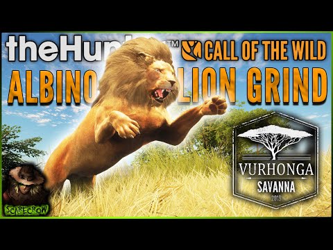 Setting Up For The Albino Lion Grind & How I Do It! Call of the wild
