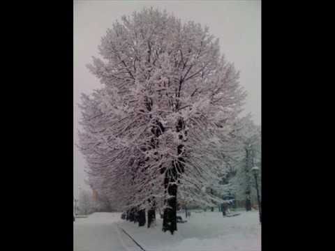 download lagu mp3 mp4 L Albero Ed Io, download mp3 L Albero Ed Io free download mp3, download mp3 L Albero Ed Io