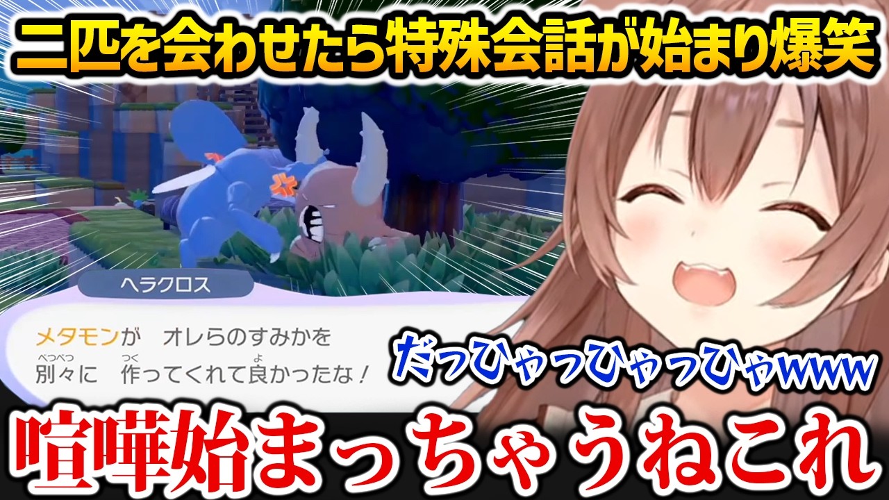 【ぽこあポケモン】ヘラクロスとカイロスを会わせたらバチギスな特殊会話が始まり爆笑するころさん【戌神ころね ホロライブ】