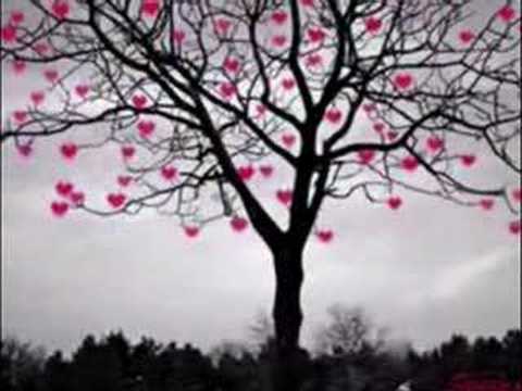 F-Sane-Askim icin (siir)