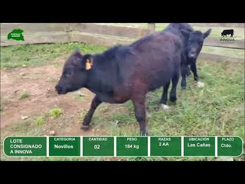 Video del lote L0-000851