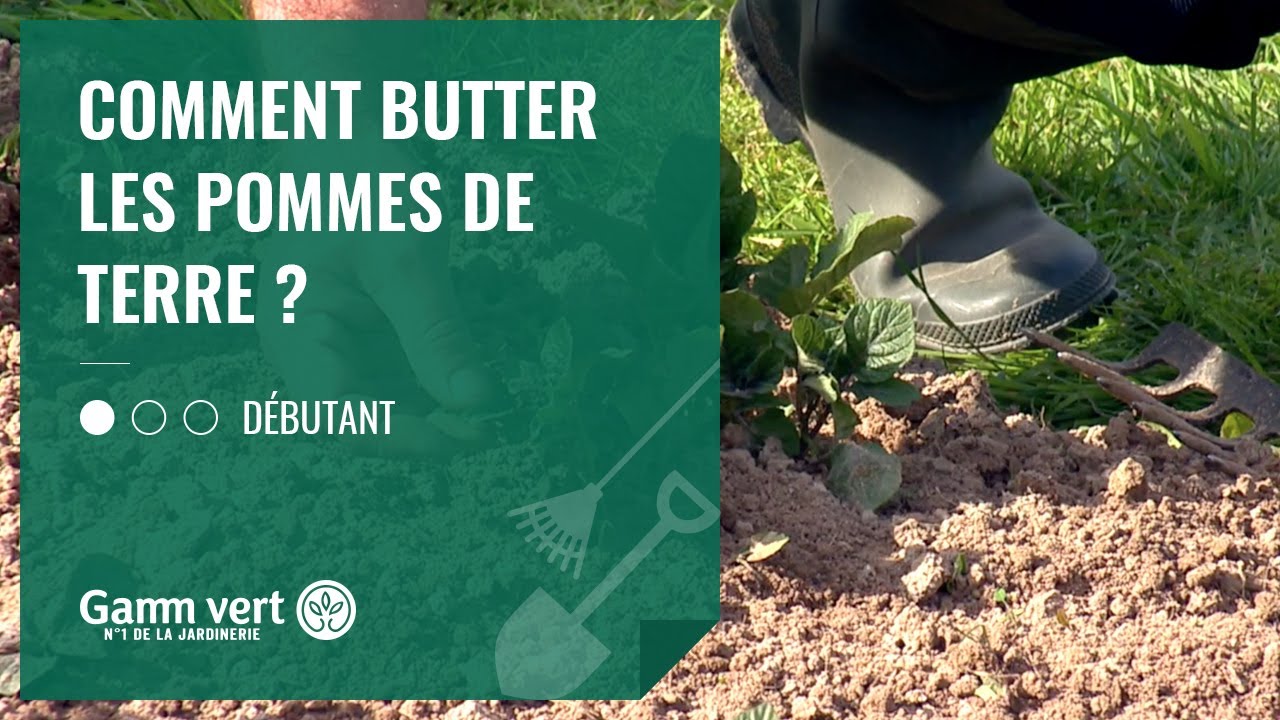 [TUTO] Comment butter les pommes de terre ? - Jardinerie Gamm vert