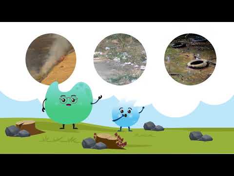 YouTube video about How Human Activities Affect Our Animal Friends