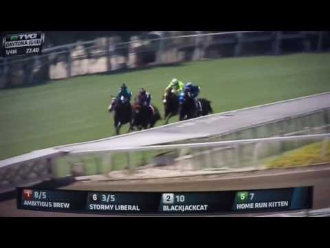 DAYTONY S, G3 STAKES $150,000 2017 STORMY LIBERAL!!!