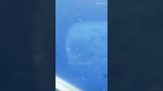 Download lagu jedag jedug ikan nabi yunus mp3 Download lagu jedag jedug ikan nabi yunus mp3