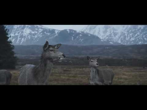 OTODAYO Rūkī - LA TARTINE ✖ Sibel - Stay