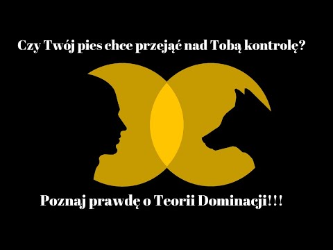 Odc. 6: Dominacja u psów - prawdziwe informacje; Dialogi na cztery nogi, czyli Irek i Ala o psach