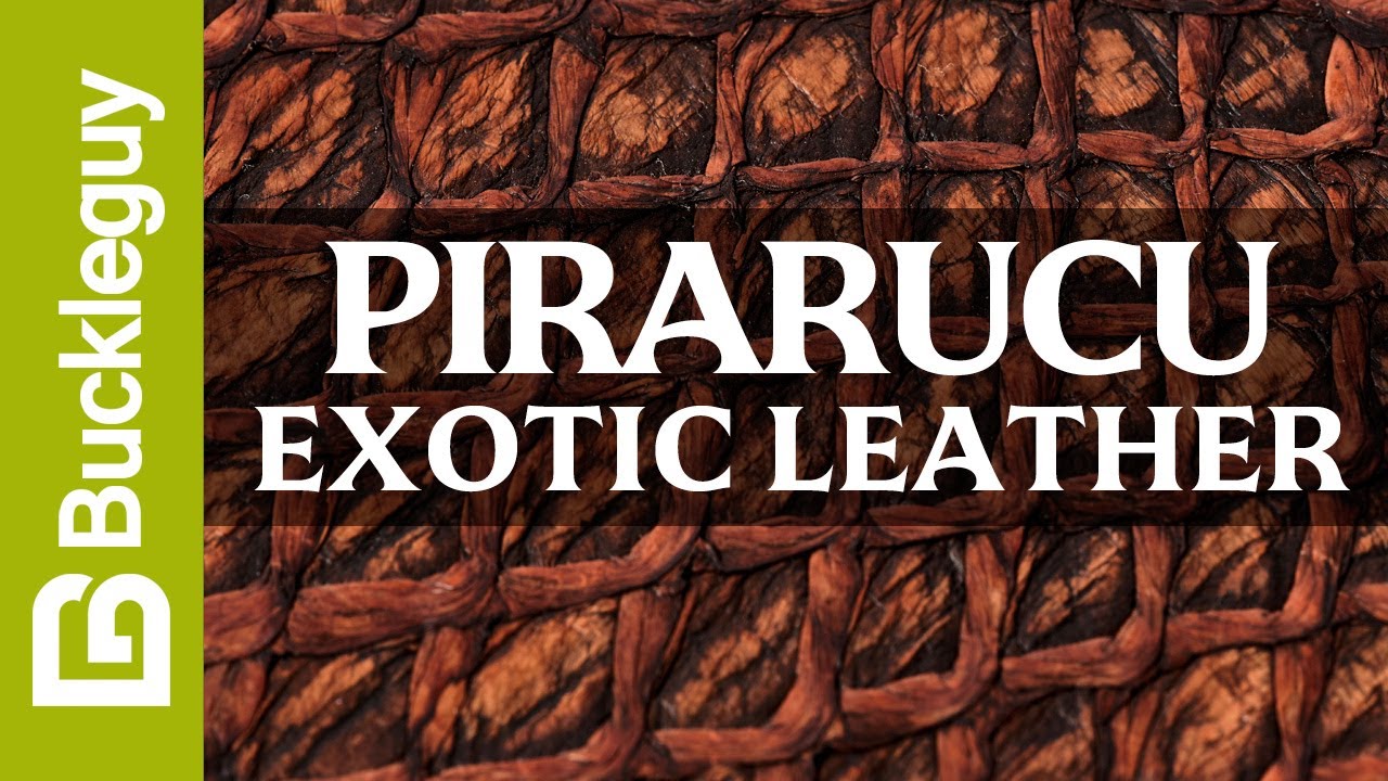 Exotic Leather, Pirarucu | Full Grain Leather Demo