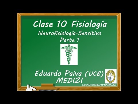 Class 10 Physiology - Neurophysiology Sensory 1 (IG:@doctor.paiva)