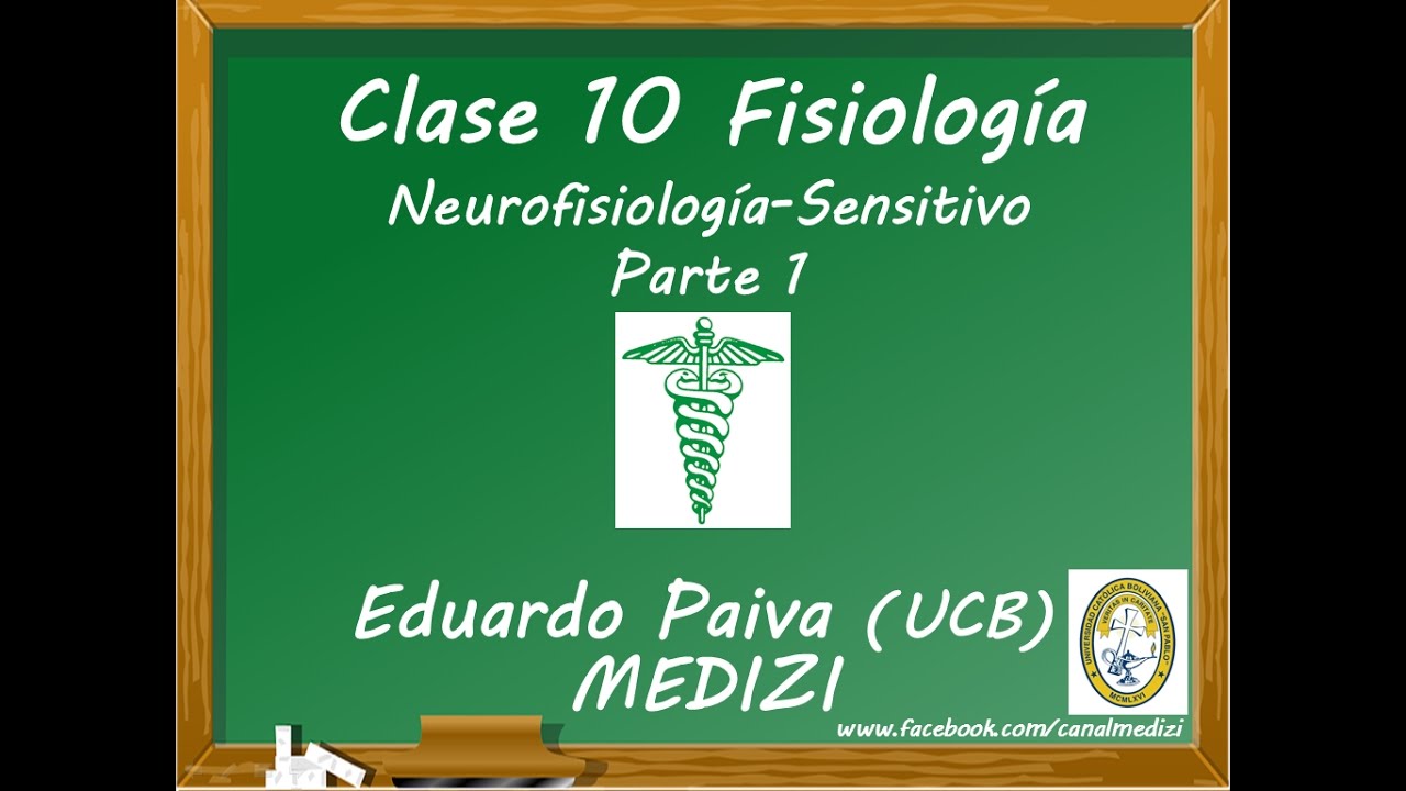 Clase 10 Fisiología - Neurofisiología Sensitivo 1  (IG:@doctor.paiva)