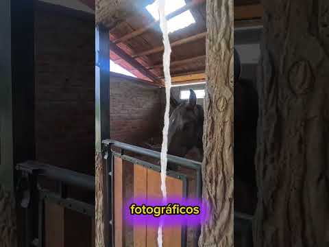 Villa del Sol Andalucía Valle del Cauca 🌞 | Naturaleza & Experiencia Única en Finca Ecoturística