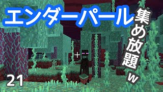 [マイクラ] onスィッチ No21 このアプデは便利でしたw