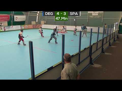 PflanzTV | Deggendorf Pflanz I - Spaichingen Badgers I | 6:5 | 13.05.18