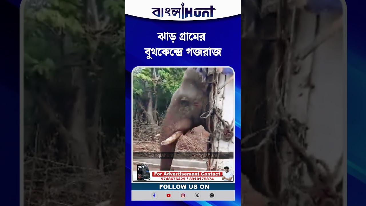 ঝাড় গ্রামের বুথকেন্দ্রে গজরাজ