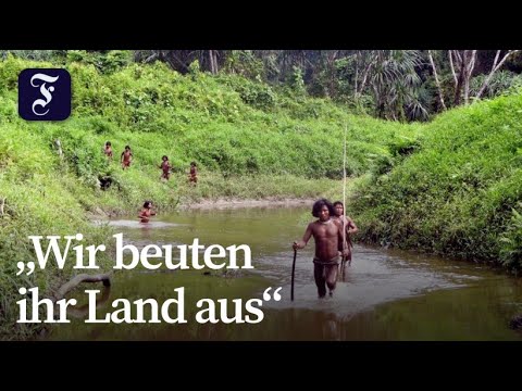 Many uncontacted tribes could soon disappear.