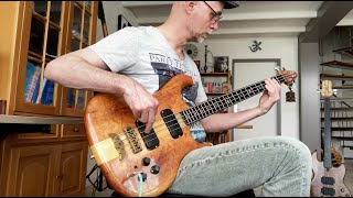 Video thumbnail for Alembic Spoiler Bass by Barend Tromp