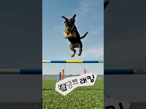 에.. 나 어질리티라든가 잘 할 수 있는데