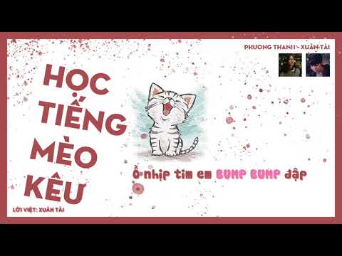 HỌC TIẾNG MÈO KÊU ( lời việt ) 学猫叫 TikTok | Xuân Tài x Phương Thanh