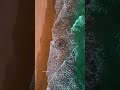 Nature Is Celebrating India S Republic Day WhatsApp Status Shorts