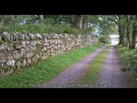 Fields of Glass – A Song for the Grass