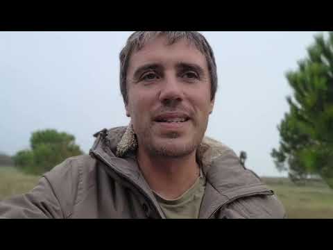 SMCP A TAKEOVER AT 10, 12, 15 EUROS?