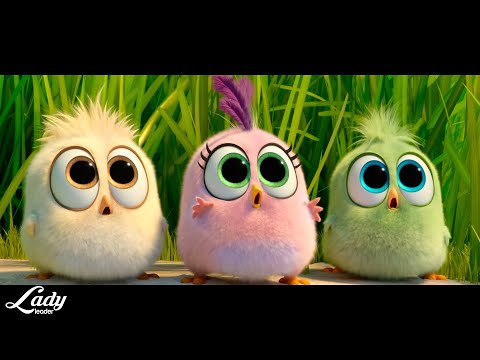 J.Geco - Chicken Song  / The Angry Birds ( Music Video HD)