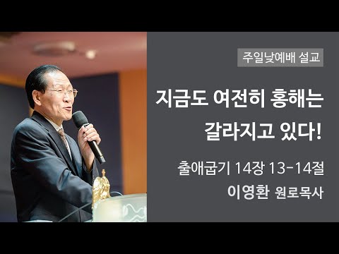 지금도 여전히 홍해는 갈라지고 있다! 사진