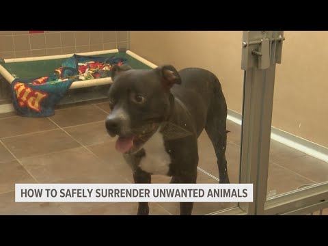 ARL of Iowa shares how to safely surrender unwanted animals