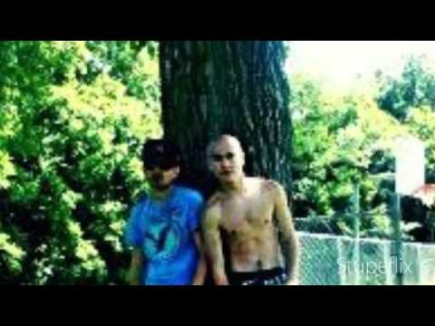 minime-d prave haters