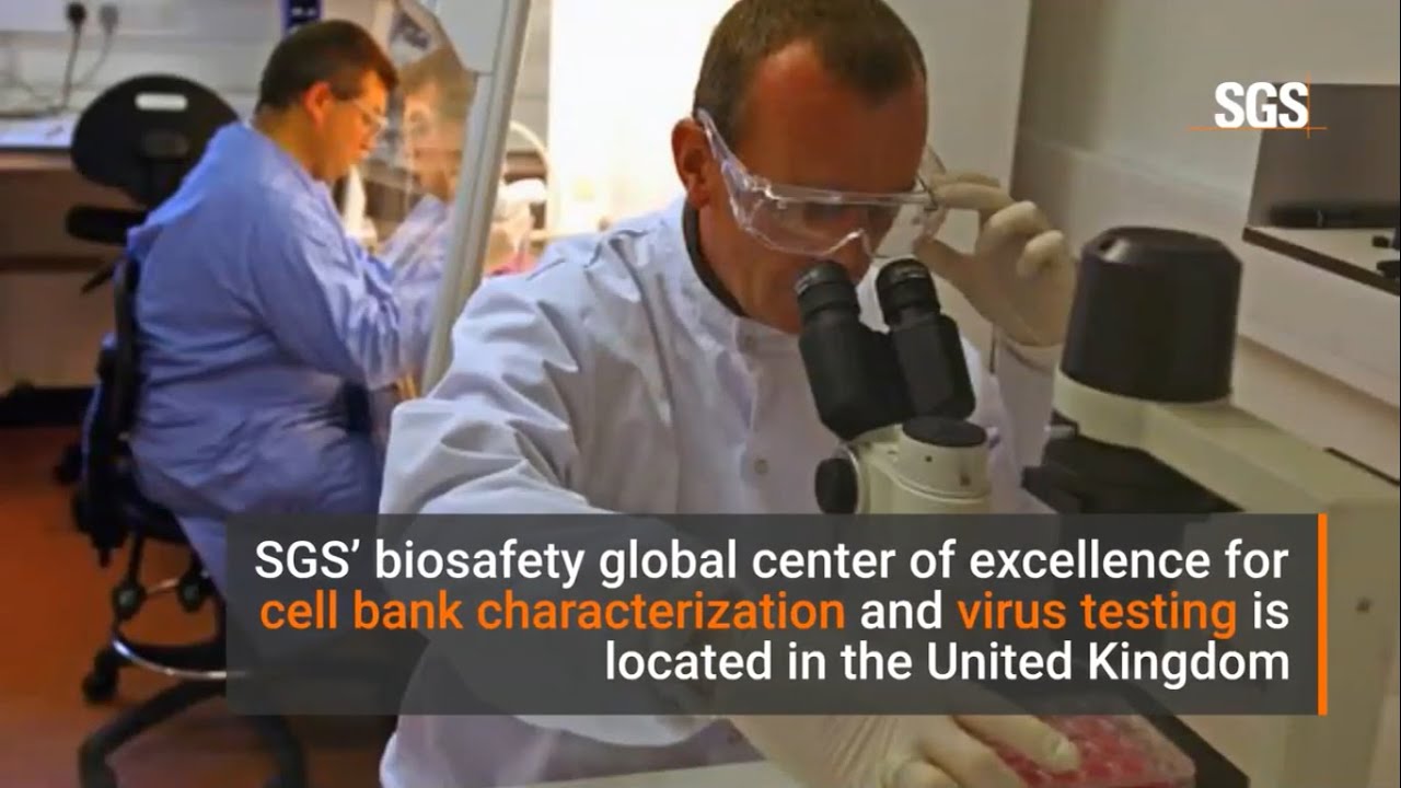 Biosafety Testing Solutions by SGS