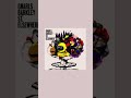 Gnarls Barkley ~ Feng Shui #GnarlsBakley #FengShui #StElswhere #anaesthete25