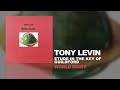 Tony Levin - Etude In The Key Of Guildford (World Diary, 1995)