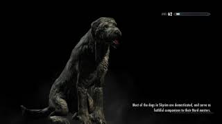 Skyrim Ordinator- Spirit Tutors