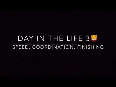 Day in the Life 3 | Speed, coordination, Shooting drills