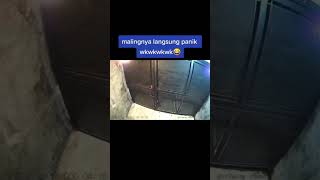 Download lagu Lucu. Gokil. Maling auto panik dan kabur karena Alarm CCTV berbunyi #shorts #reels #cctv #alarm mp3 Download lagu Lucu. Gokil. Maling auto panik dan kabur karena Alarm CCTV berbunyi #shorts #reels #cctv #alarm mp3