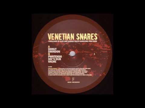 Venetian Snares - Pwntendo