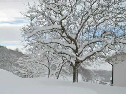 Agriturismo Il Vecchio Fienile - Mormanno-Pollino