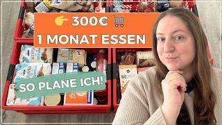 👉 So plane ich unseren 300€ Großeinkauf für 5 Personen 😳 Nur 1 Einkauf für 1 Monat | Big Mary