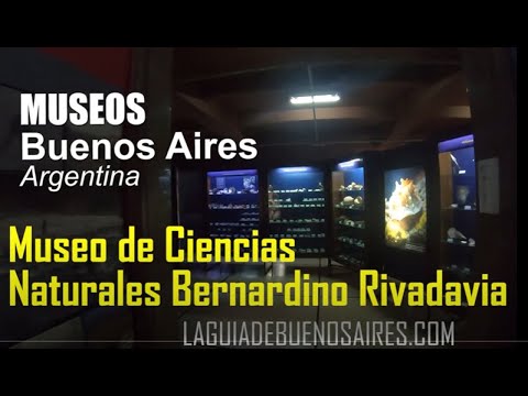 Recorremos el Museo de Ciencias Naturales de la ciudad de Buenos Aires