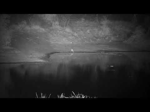 Djuma: Small Antelope drinking on other side of the dam - 23:10 - 09/12/21